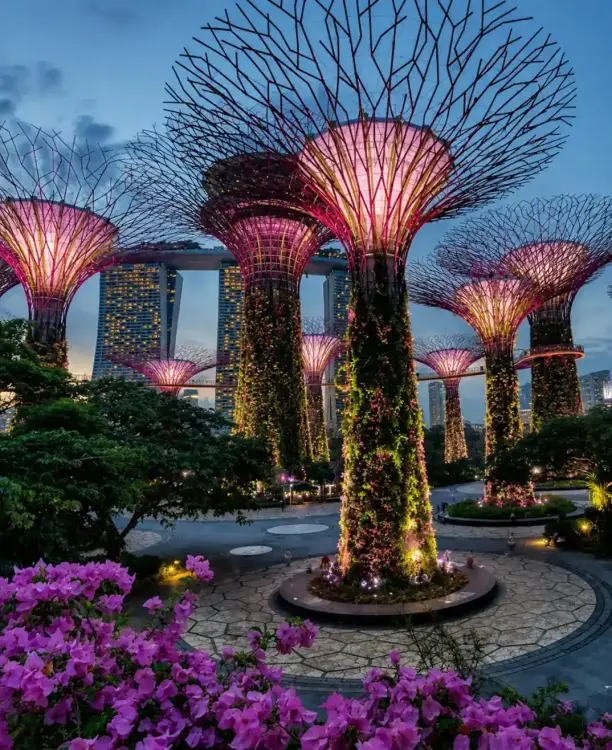 Gardens by the Bay Singapore Combo Ticket – Disney Garden of Wonder, Flower Dome, Cloud Forest, Jurassic World & Supertree Observatory