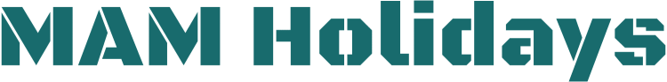 logo icon