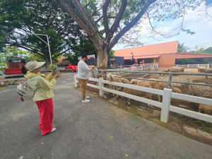 Zucata Sheep Farm