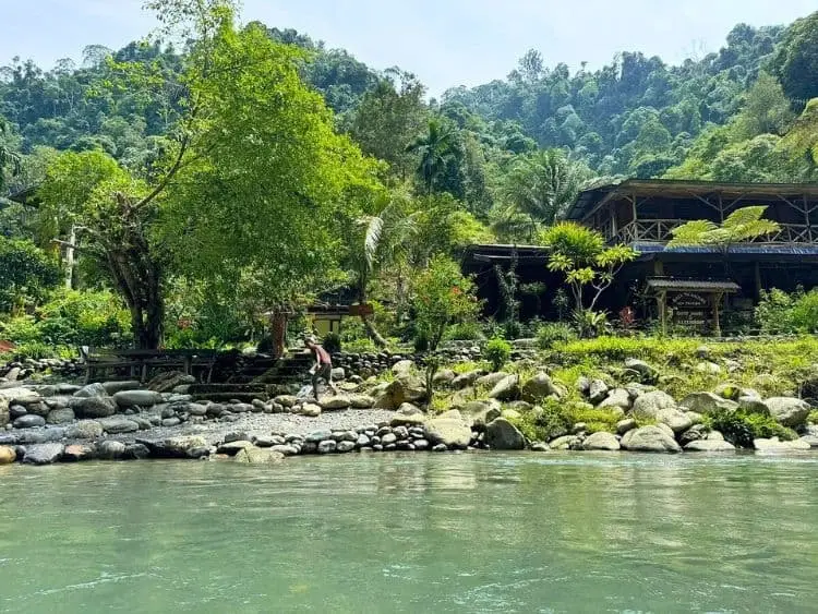 Thrilling Private Bukit Lawang Trekking Tour from Medan