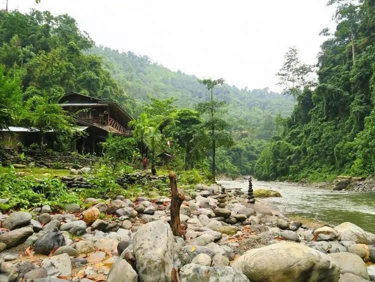 Thrilling Private Bukit Lawang Trekking Tour from Medan