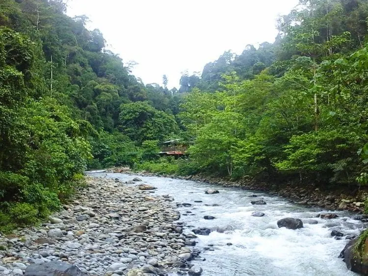 Thrilling Private Bukit Lawang Trekking Tour from Medan