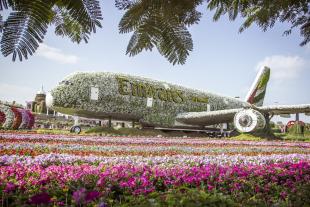 Dubai Miracle Garden Skip the Line Entry Ticket
