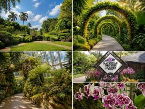 National Orchid Garden Singapore Admission Ticket | Skip the Line to Singapore's Orchid Paradise