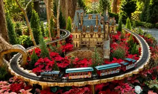 Disney Garden of Wonder at Floral Fantasy: Gardens by the Bay Singapore – Direct Admission Ticket