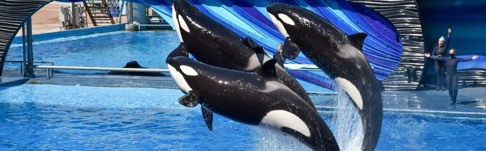 Zoos and Aquariums