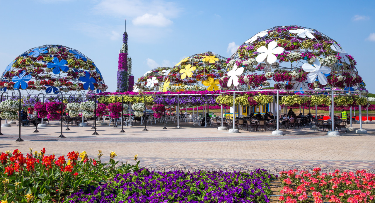 Dubai Miracle Garden Skip the Line Entry Ticket