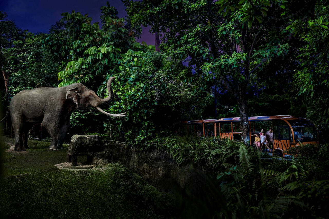 Singapore Night Safari Open Dated Entry Ticket with Tram Ride