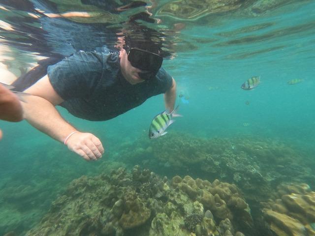 Phuket: Best of Phi Phi Island Thrilling Speedboat Tour with Snorkeling & Swimming