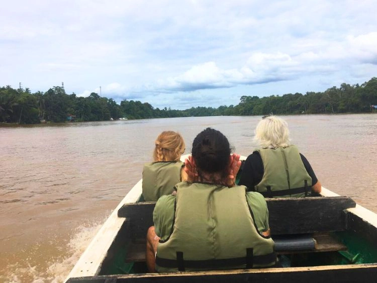 Top Kinabatangan Wildlife River Cruise Tour from Sandakan
